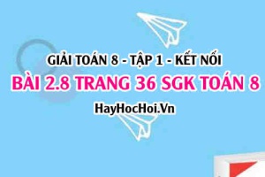 Giải bài 2.8 trang 36 Toán 8 Tập 1 SGK Kết nối tri thức